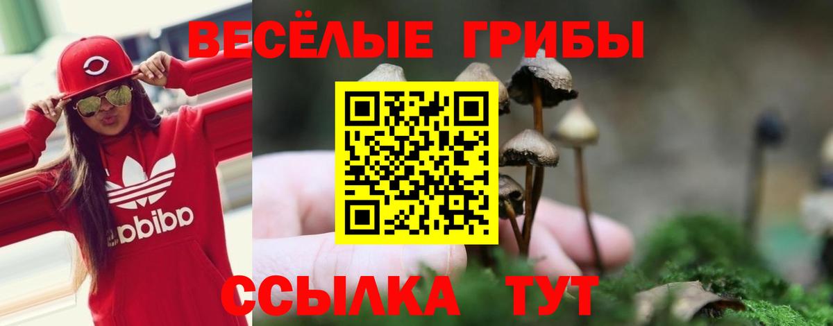 Острогожск  Псилоцибиновые грибы GOLDEN TEACHER  Вход с VPN 